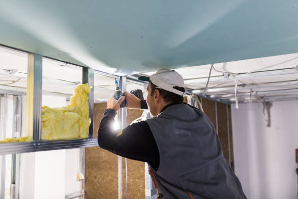 Best Insulation Installation Services in Timberwood Park, TX