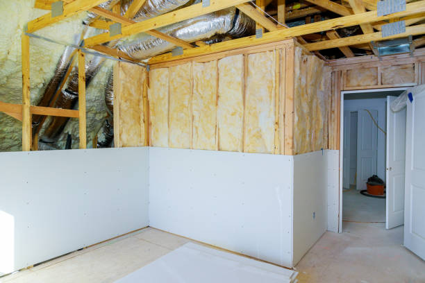 Best Insulation Maintenance and Repair in Timberwood Park, TX
